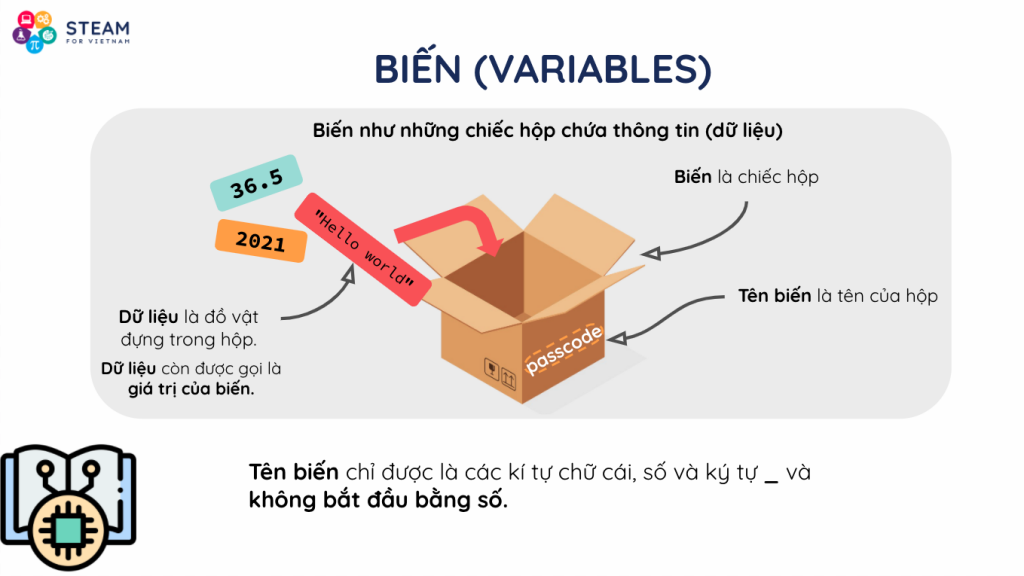 Biểu diễn biến số (variable)