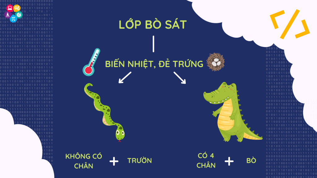 Đặc tính của lớp bò sát