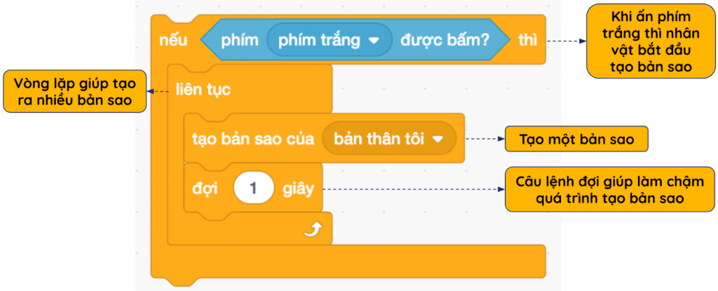 Bản Sao Trong Scratch