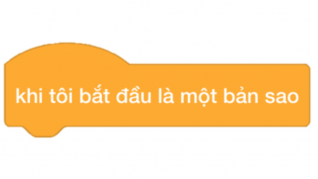 Bản Sao Scratch